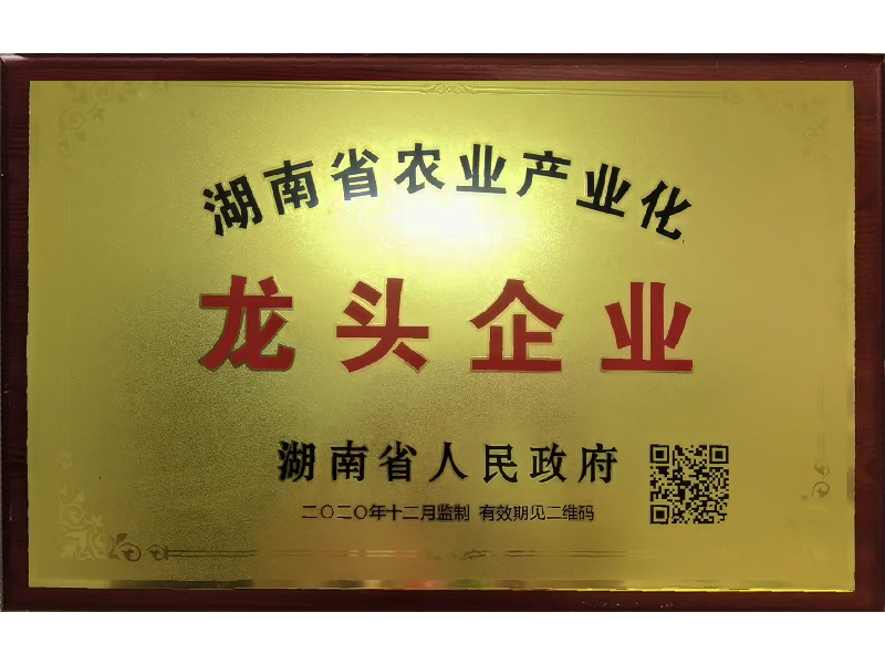 岳陽市漁之源食品有限公司,岳港漁都,洞庭魚港,散稱系列,田螺系列,臭豆腐加工，香豆腐加工，烤脖加工，魚仔,鴨排加工、雞丁加工代加工
